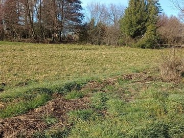 Arriendo Mensual / Terreno Agricola / Los Ángeles