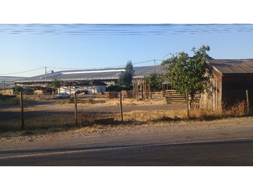 Arriendo Mensual / Terreno Agricola / Paine
