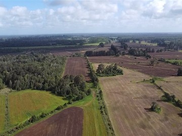 Arriendo Mensual / Terreno Agricola / Purranque