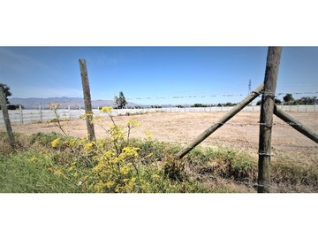 Imagen 16