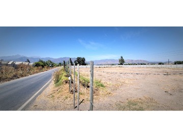 Arriendo Mensual / Terreno Agricola / Quillota