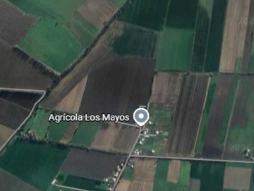 Arriendo Mensual / Terreno Agricola / San Vicente de Tagua Tagua