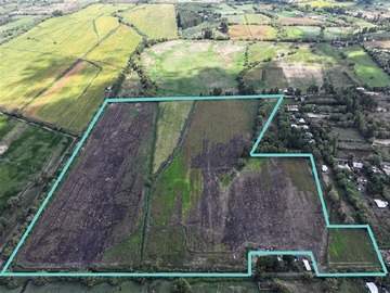 Arriendo Mensual / Terreno Agricola / Talca