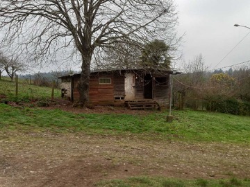 Arriendo Mensual / Terreno Agricola / Temuco