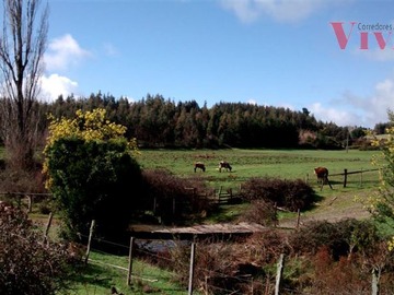 Arriendo Mensual / Terreno Agricola / Traiguén