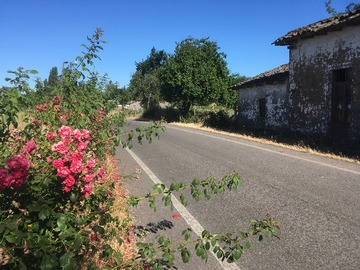 Villa Alegre, Plaza de los Heroes de Coibungo Image