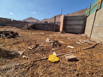 Imagen 28