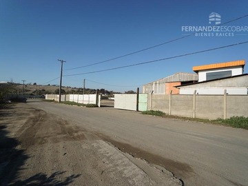 Imagen 11