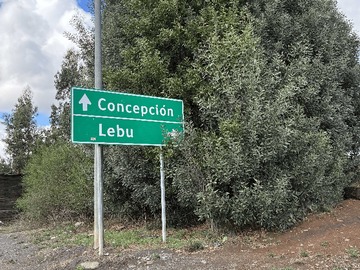 Imagen 5