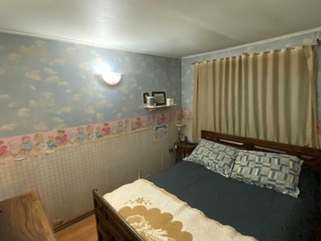 Imagen 15