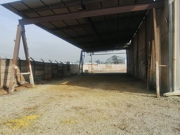 Imagen 4