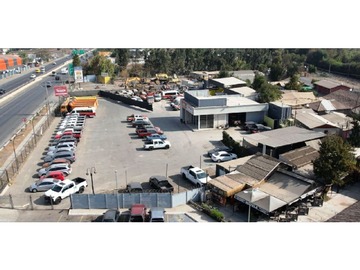 Imagen 7