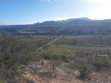 Imagen 4