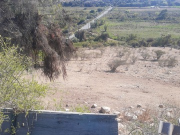 Imagen 13