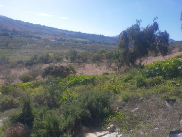Imagen 6