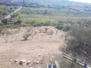 Imagen 22