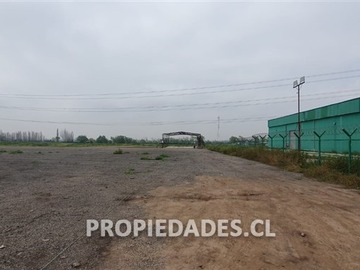 Imagen 5