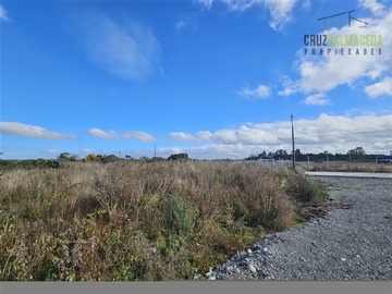 Imagen 3