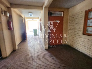 Imagen 15