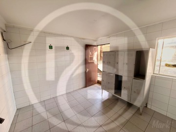 Imagen 4