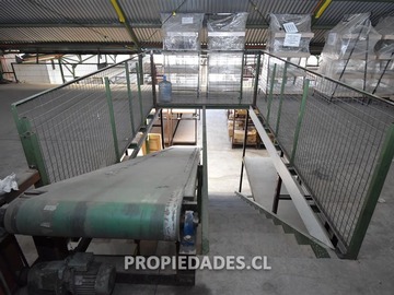 Imagen 5