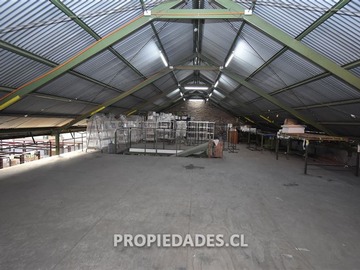 Imagen 6