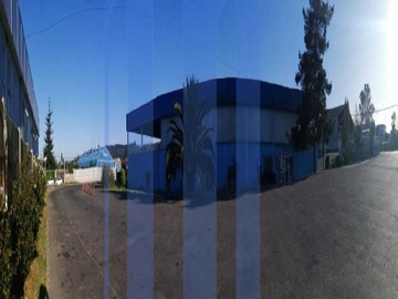 Imagen 5