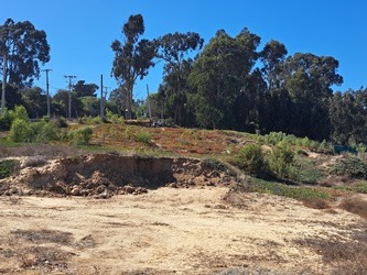 Arriendo Mensual / Terreno / Algarrobo