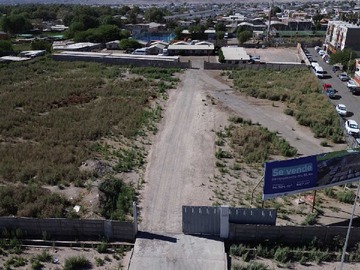 Imagen 10