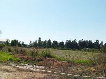 Imagen 11