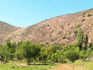 Imagen 9