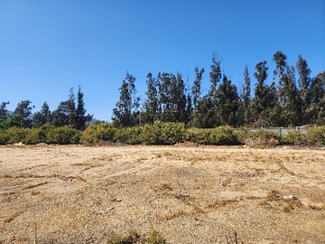 Arriendo Mensual / Terreno / Casablanca