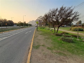 Imagen 21