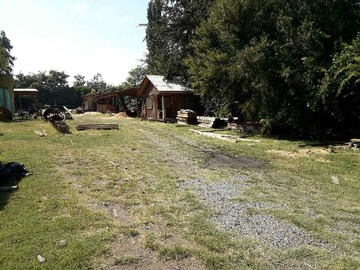 Imagen 6