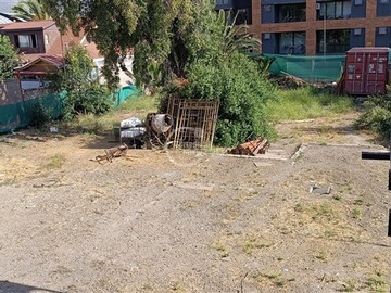 Imagen 9