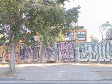 Imagen 5