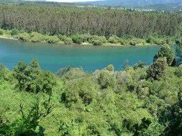 Arriendo Mensual / Terreno / Los Lagos