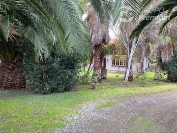 Imagen 13