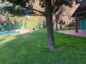 Imagen 18