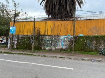 Imagen 8