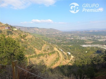 Imagen 20