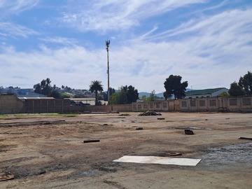 Imagen 5