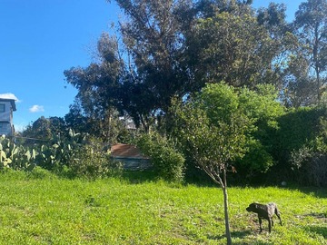 Arriendo Mensual / Terreno / Quilpué