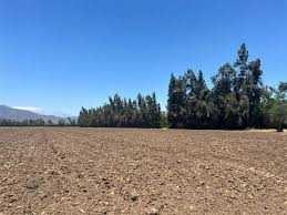 Arriendo Mensual / Terreno / Rancagua