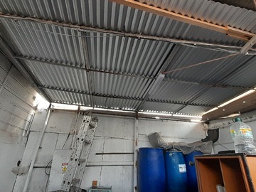 Imagen 4
