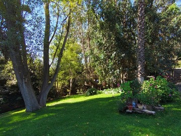 Imagen 11