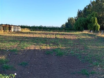 Arriendo Mensual / Terreno / Talagante