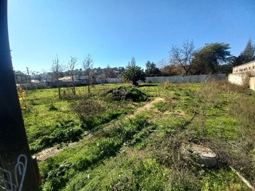 Imagen 9