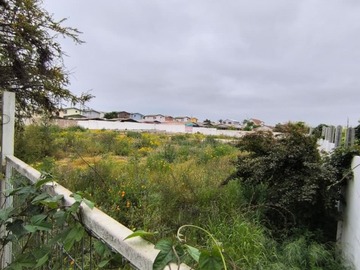 Arriendo Mensual / Terreno / Villa Alemana