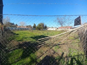 Imagen 14